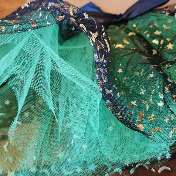 L/LG Dog Sparkly Witch costume - Picture 4 of 5